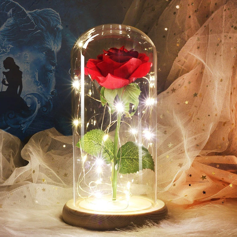 Enchanted Rose